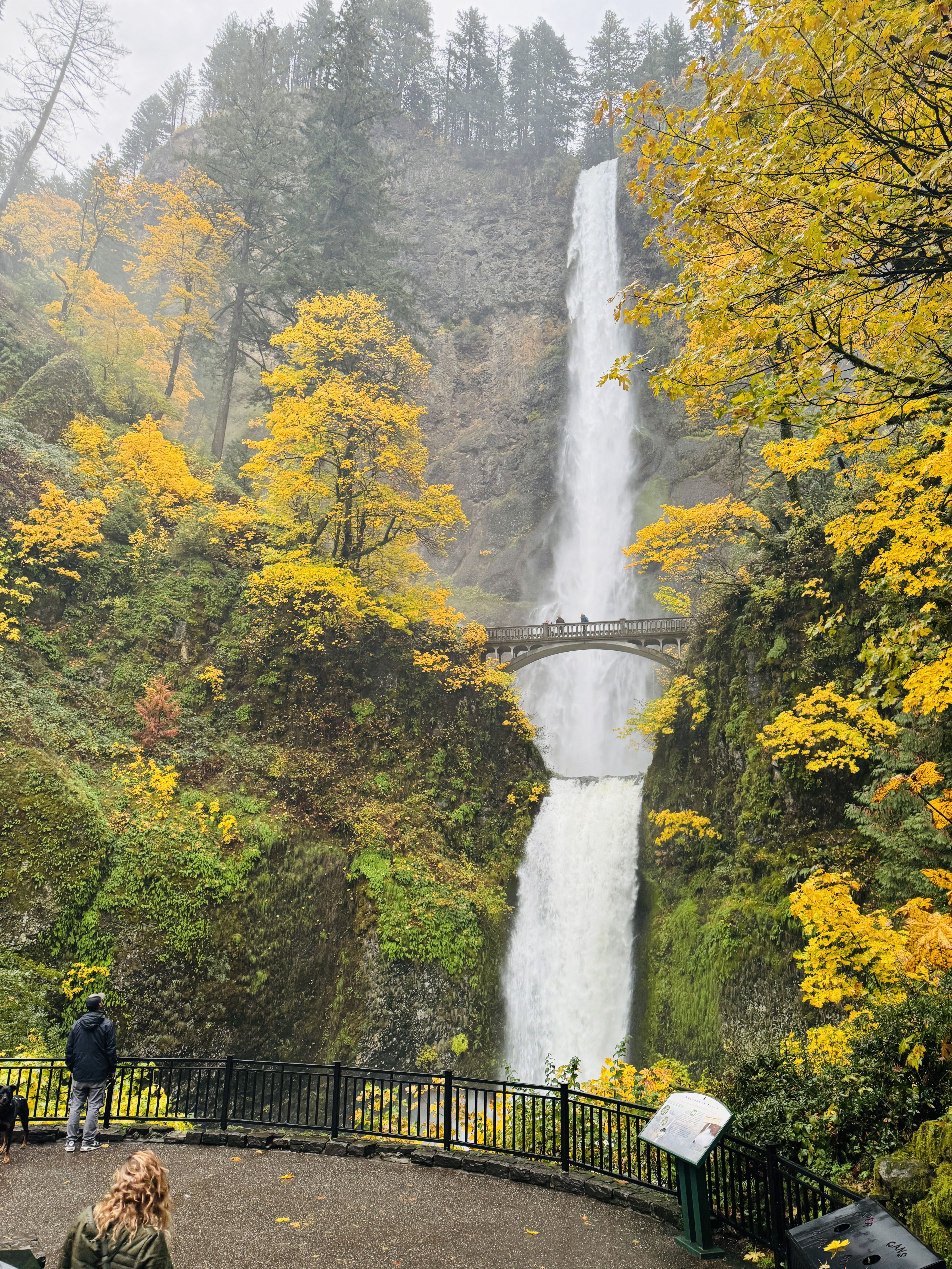 Multnomah Falls, OR