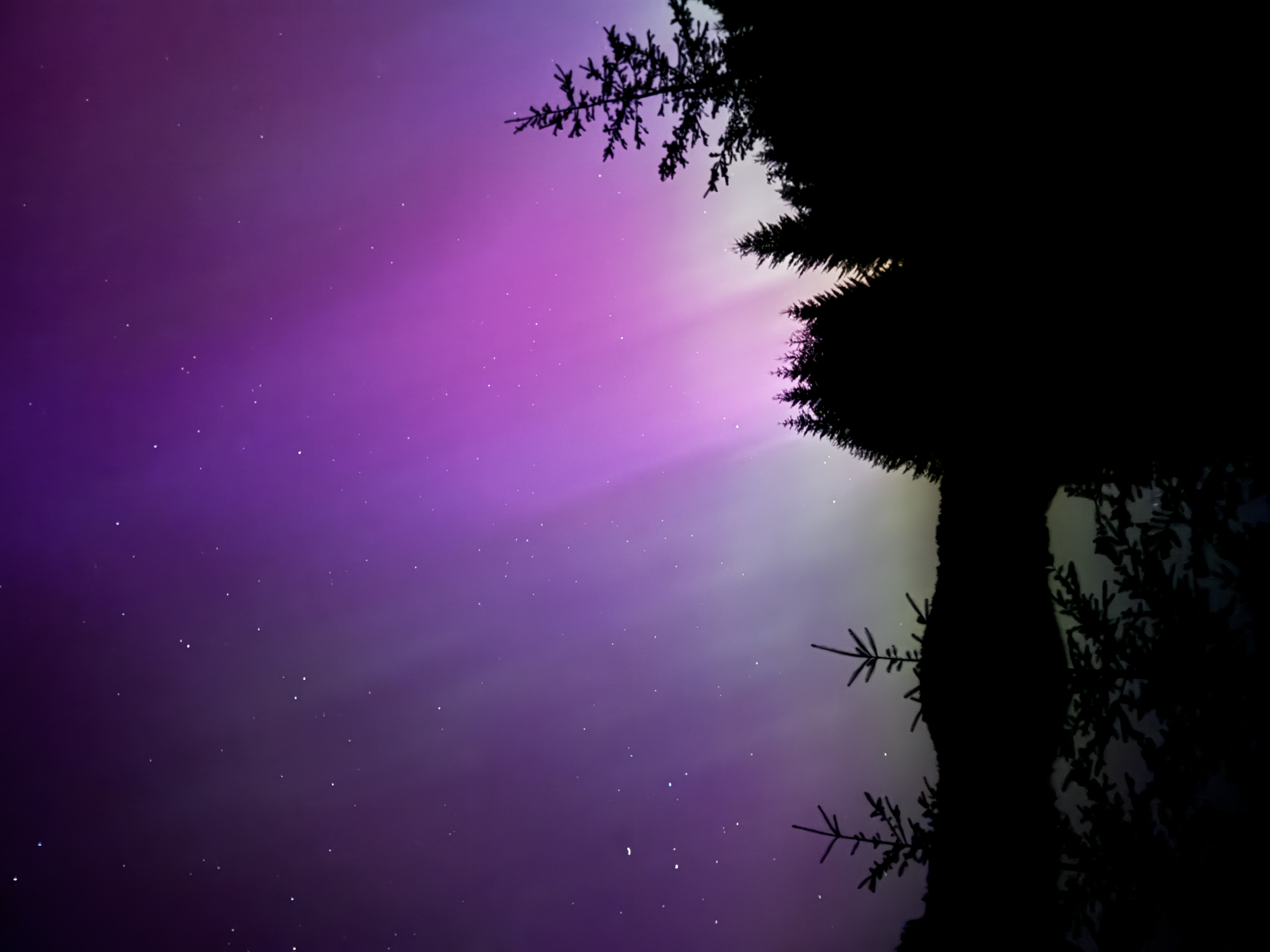 Northern lights, McMinnville OR